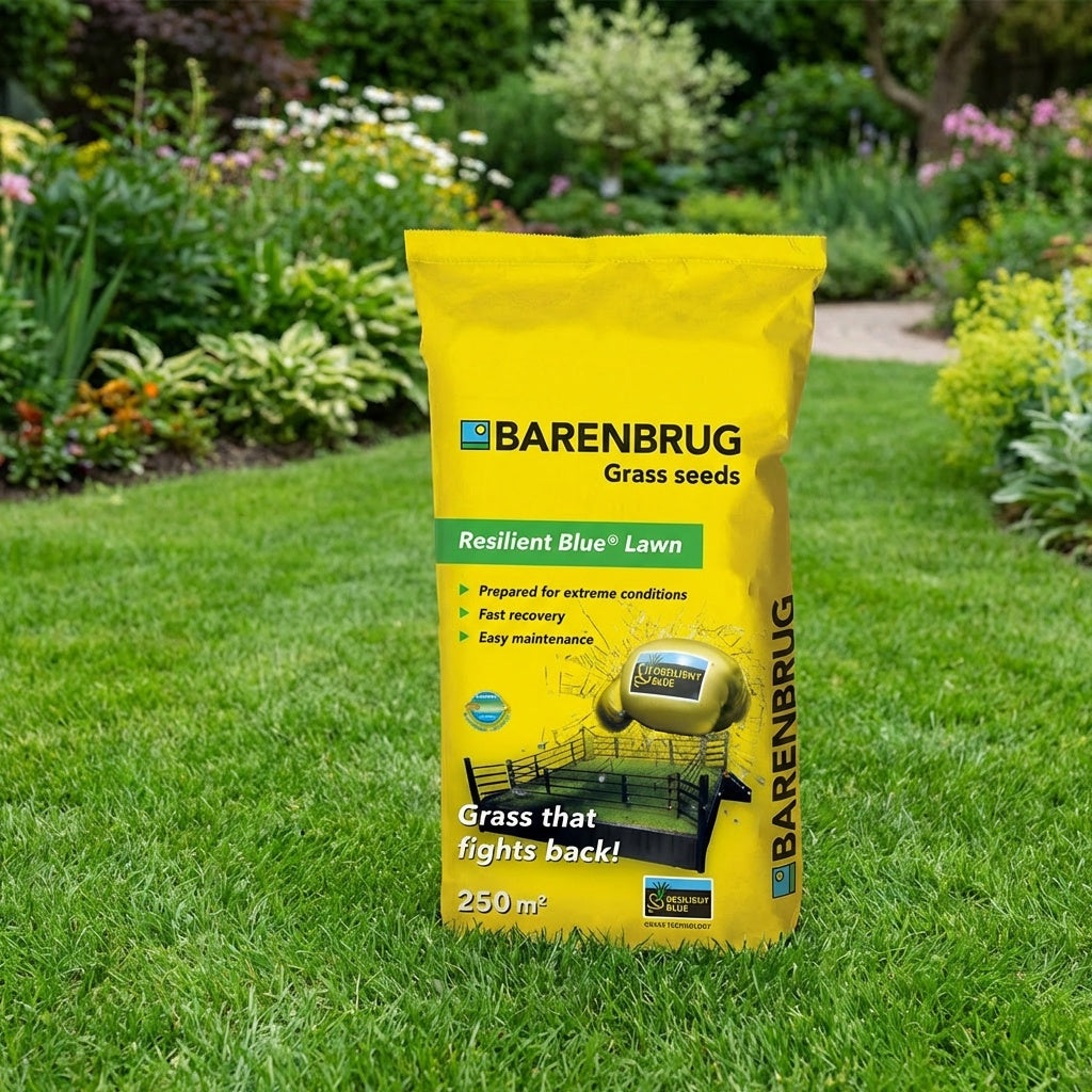 Barenbrug Resilient Blue Lawn 5 kg