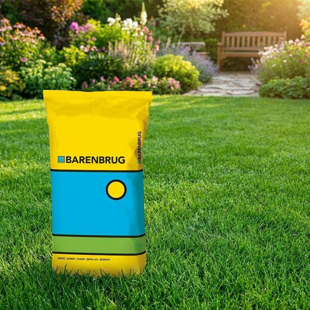 Barenbrug Standard Plænegræs