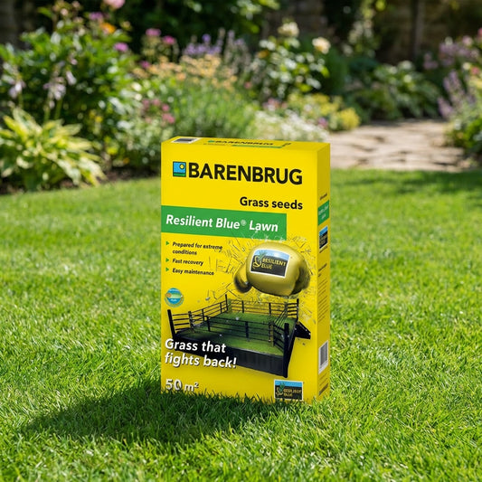 Barenbrug Resilient Blue Lawn 1 kg